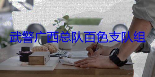 武警广西总队百色支队组织官兵开展军事体育运动会